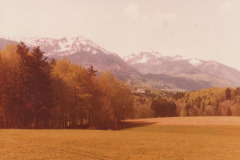 1980er-Jahre-Blick-auf-Hochfelln-u.-Hochgern