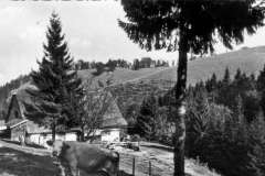 Grassau-Hefter-Alm-1965