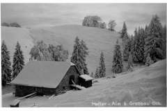 Grassau-Hefteralm-Weihnachten-1929-2