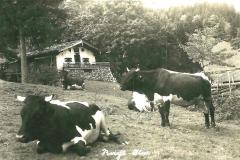 Grassau-Rachl-Alm-1933