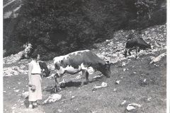 Ruhpolding-Felln-Alm-1933