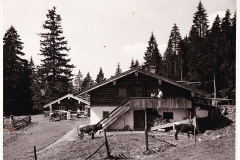 Ruhpolding-Keitl-Alm-um-1960