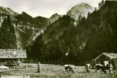 Ruhpolding-Schwarzachenalm-evt.-50er-a