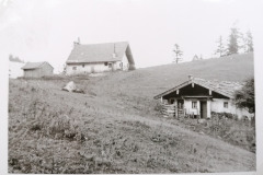 Strohnalm-Hochfelln