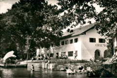 Feldwies-am-Chiemsee-Chiemgauhof-1955